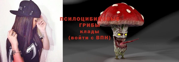 экстази Михайлов