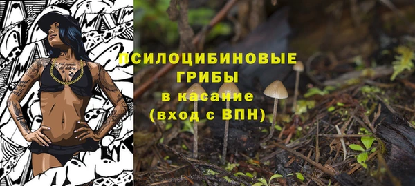 скорость Мегион