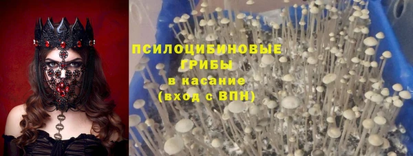 экстази Михайлов