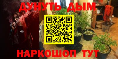 гашик Берёзовский
