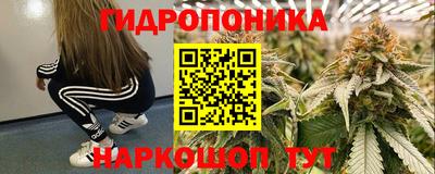 гашик Берёзовский