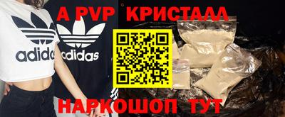 гашик Берёзовский