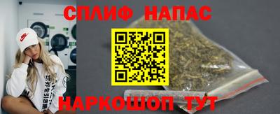 гашик Берёзовский