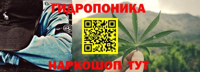 гашик Берёзовский