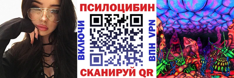 дарнет шоп  Мегион  Псилоцибиновые грибы GOLDEN TEACHER 