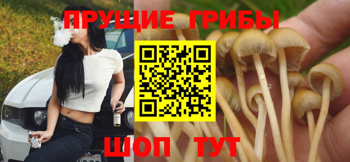 Галлюциногенные грибы Cubensis Мегион