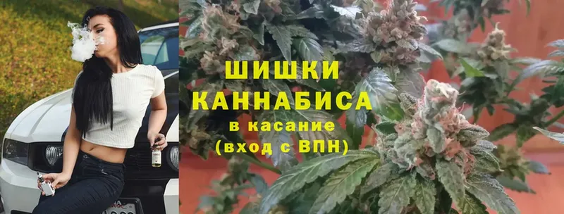 Каннабис SATIVA & INDICA  Мегион 